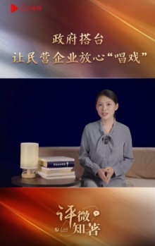 政府搭台 让民营企业放心“唱戏”