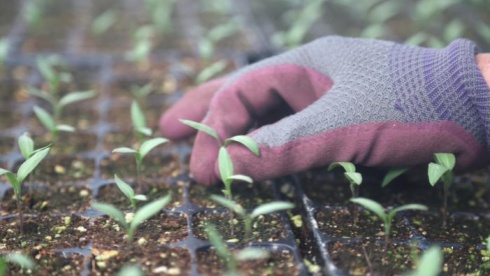 从“新农具”看农业现代化大文章